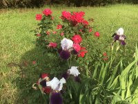 IMG_3910.jpg