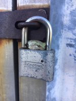 Frog on lock.jpg