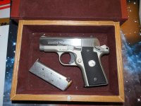 Colt Mustang.jpg