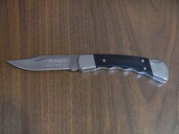 Buck 110 Custom.jpg