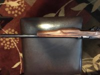 RUGER_1.jpg