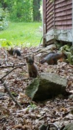 20190523_095126.jpg