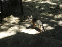 DSC00991.jpg