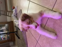 IMG_0127.jpg