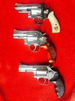 IMG_1176.jpg