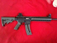 M&P2.jpg