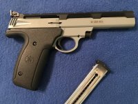22LR SW 22S.jpg