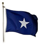 Bonnie Blue Flag.jpg