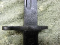 IMGP0020.jpg