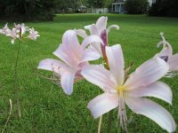 IMG_1865.JPG