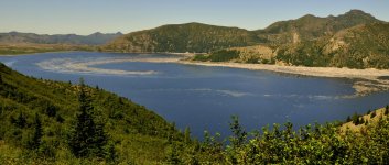 _DSC0262.jpg