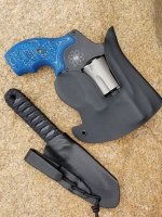 340pd creeper in holsters.jpg