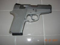 3913 LS.jpg