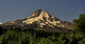 _DSC0334.jpg