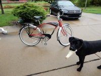 Schwinn Cruiser 1995 repro 004.jpg