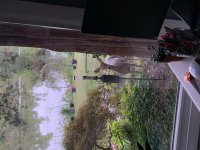 IMG_5899.jpg