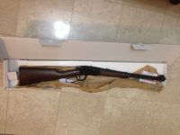 22 LR Henry Frontiersman.jpeg