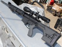 DPMS_LFT.JPG