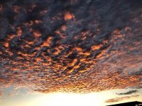 9B12C51E-B5BC-4B28-A734-3C806812A8A7.jpeg