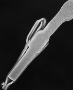 xray (3).jpg