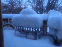 IMG_2928.JPG