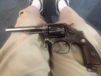 Ward's S&W .jpg