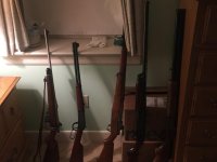 collection 4.jpg