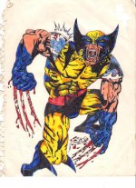 Wolverine.jpg