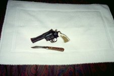 S&W 586.jpg