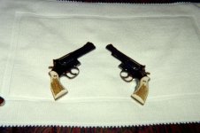 S&W Pair.jpg