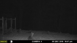 5 sleeping2B.jpg