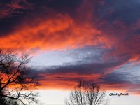 IMG_4016 (2).jpg