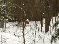 IMG_6529.jpg