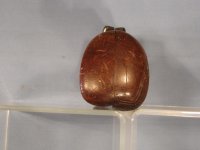 IMG_6860.jpg