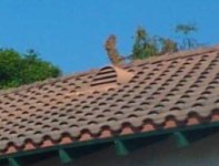 Dormerroofvent2.jpg
