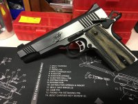 Kimber.jpg