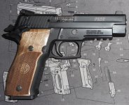 sig226 22lrsao.jpg