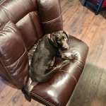 ARLO3.jpg