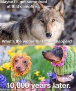 Wolf.jpg