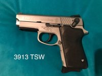 9mmModel 3913b.jpg