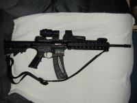 Smith & Wesson 15-22 #2.jpg