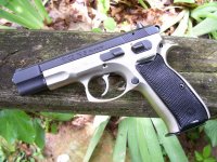 cz 003.jpg