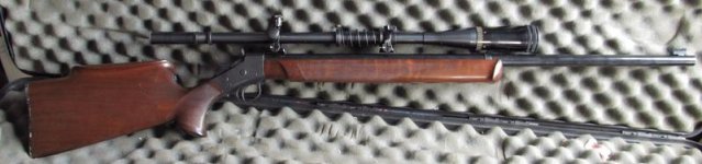 Brown Remchester full.jpg