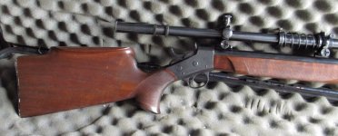 Brown Remchester Stock.jpg