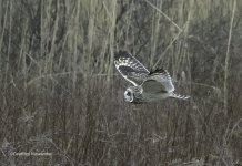 SEO0423.jpg