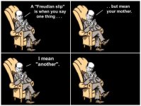 imagem-21.jpg