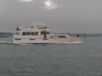 IMG_20181115_054048.jpg