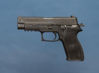 sig 220.jpg