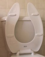toilet-seat.jpg