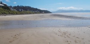 DSCN0890.jpg